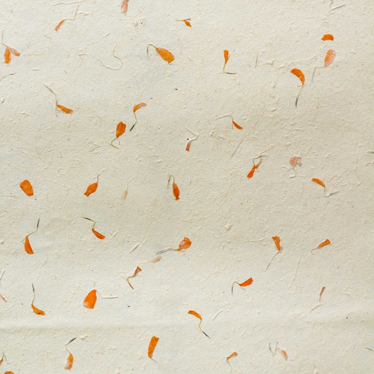 Lokta Craft / Wrapping Paper (51x76cm) - Marigold