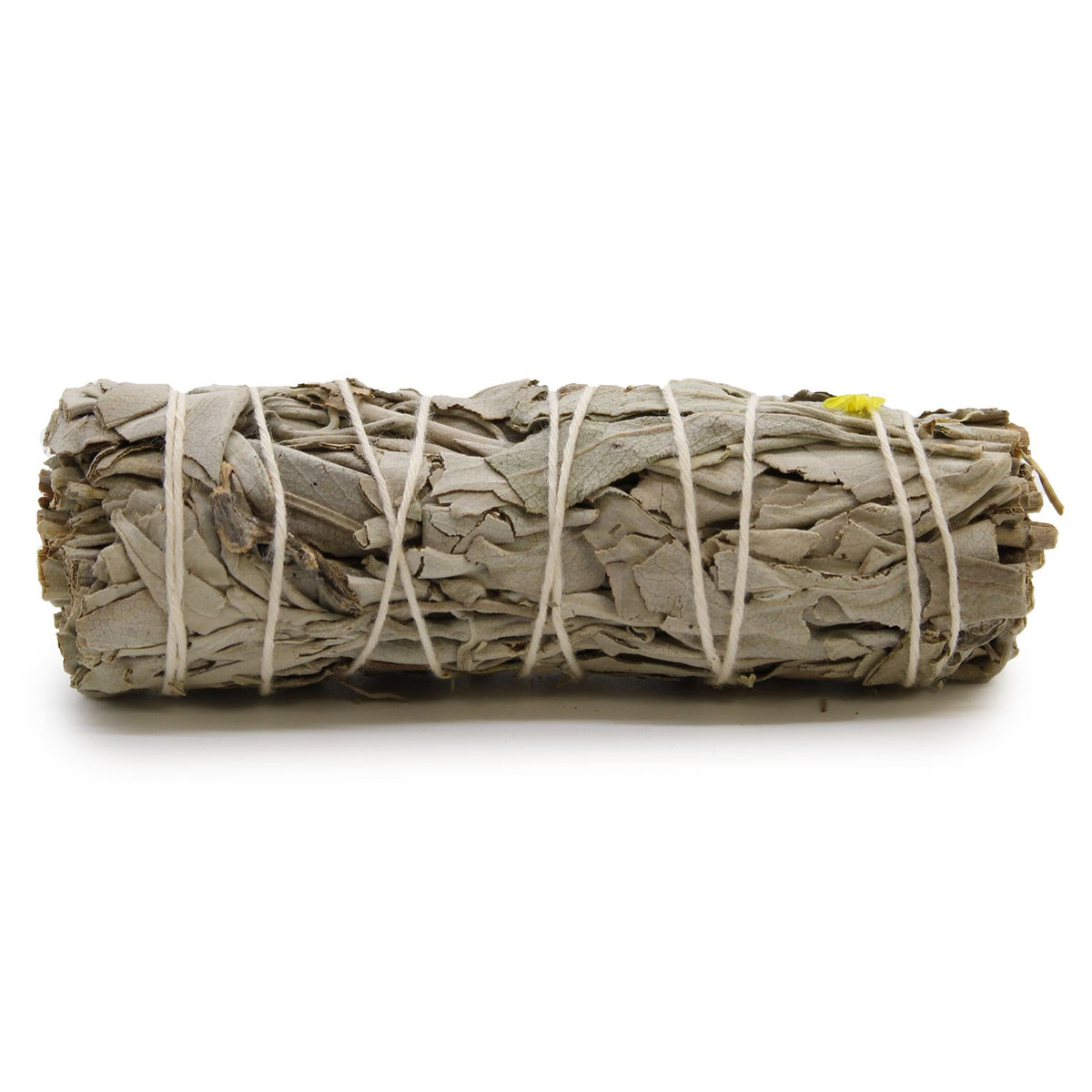 White & Blue Sage Bundle 10 cm